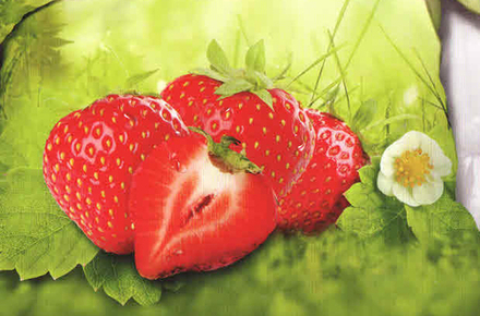 Комплект постельного белья 3D (арт. CL15/636-3D ) - 1,5 спальный