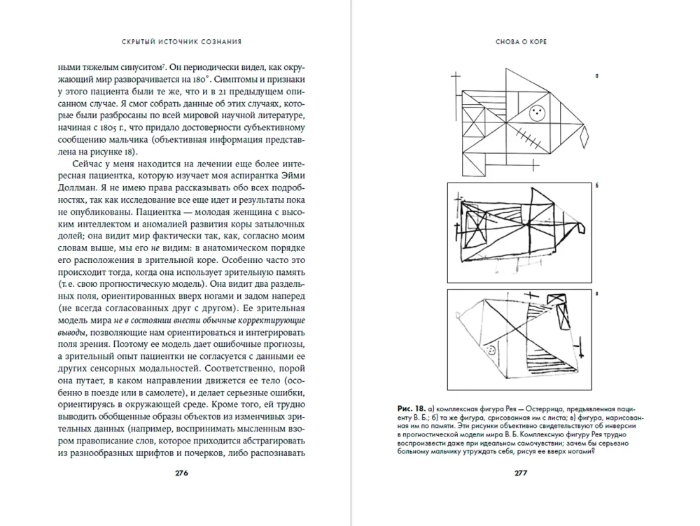 Скрытый источник сознания