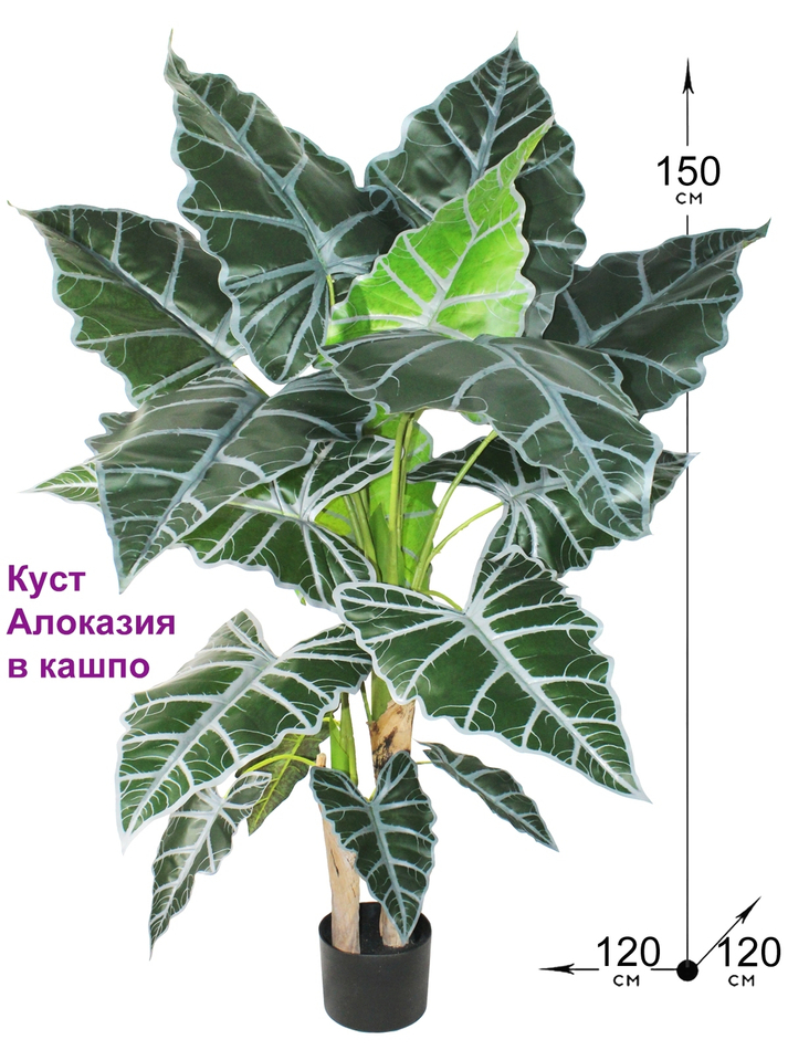Искусственное растение Алоказия 150см в кашпо