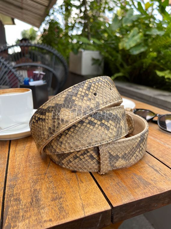 Ремень из кожи питона AC-106