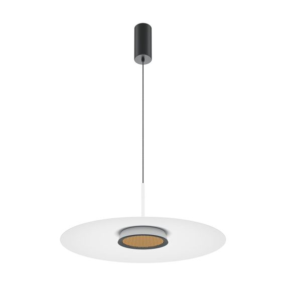 Подвесной светодиодный светильник Maytoni El MOD041PL-L15W3K1