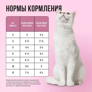 Пауч BOWL WOW для здоровой кожи и шерсти кошек с индейкой и шпинатом, кусочки в соусе