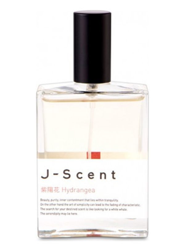 J-Scent Hydrangea