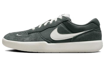 Кроссовки Nike Sb Force 58