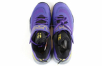 Кроссовки Nike Ambassador Xii 12