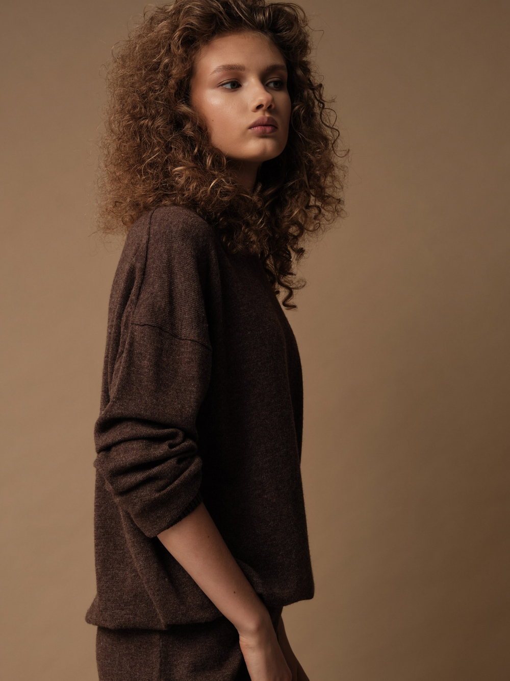 J0258-8100 Джемпер женский, шоколадный dbr