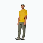 Штаны Salewa Pedroc 3 DST Light faded green