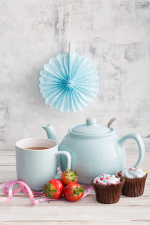 Чайник заварочный pastel shades 1,1 л голубой