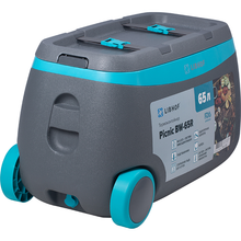 Изотермический контейнер Libhof Picnic BW-65R