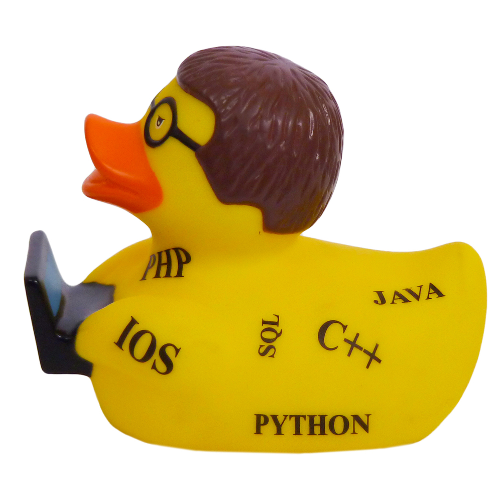Программист уточка