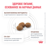 Royal Canin Hepatic Feline Гепатик фелин Корм сухой диета для кошек для поддержания функции печени 2кг