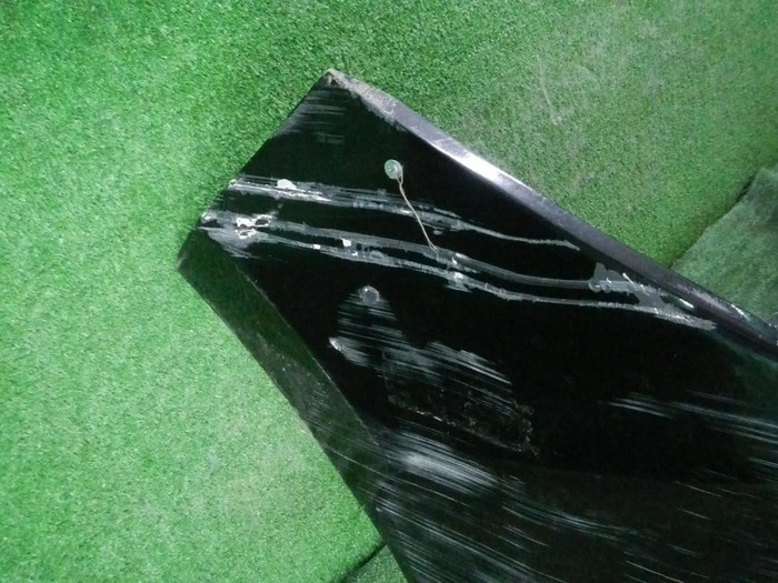 DSCN0908.JPG