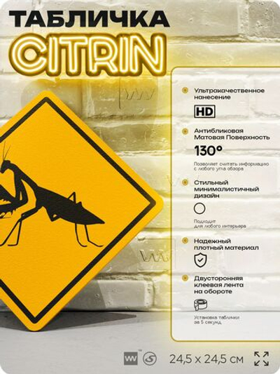 Табличка прикольная "Осторожно, богомолы" на дверь и стену, информационная и предупреждающая, декоративный знак, 24,5х24,5 см, пластиковая, Айдентика Технолоджи