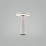 Настольная лампа декоративная Freya Mushroom FR6109TL-L4W