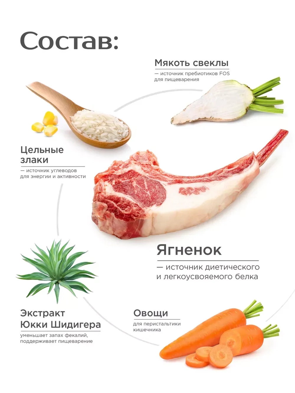 Корм для крупных городских собак, с ягненком, 12 кг