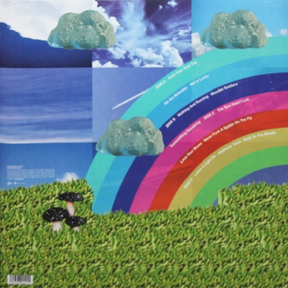 Modest Mouse / The Golden Casket (2LP)