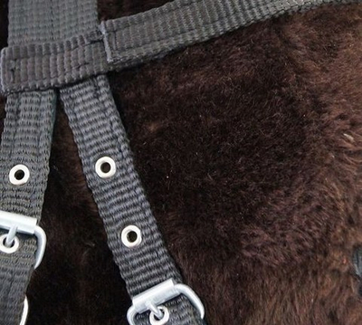 Узда кожа/капрон