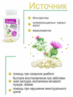 Масло лопуха 240 капсул