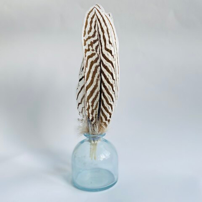 Перья фазана серебряного 15-25 см.