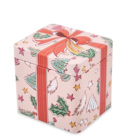 TCN-20/3 Коробка металлическая