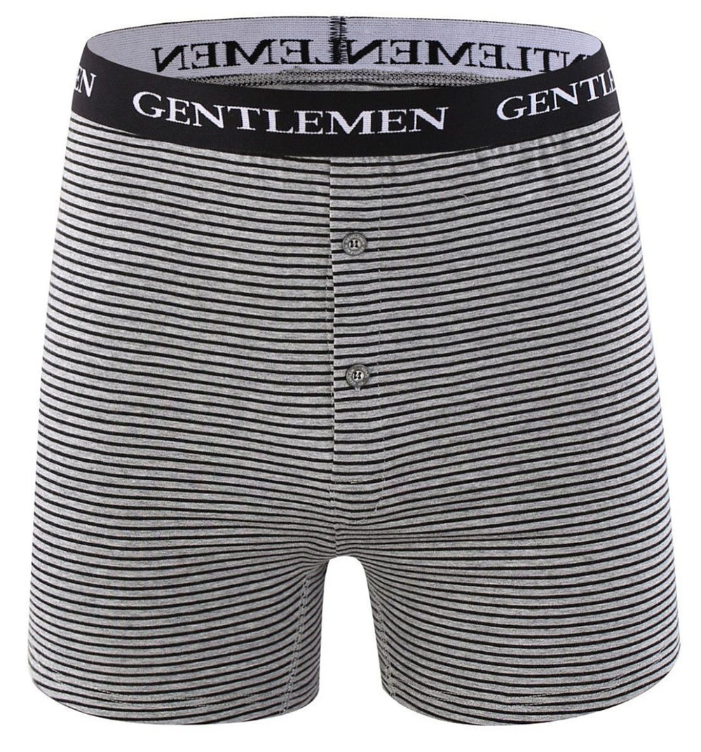 Хлопковые трусы-боксеры с тонкой полоской и брендированной резинкой (Размер: 4X) (Цвет: серый с синим)