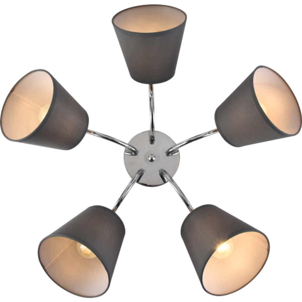 Люстра Rivoli Alexa 9163-305 5 х Е27 60 Вт модерн