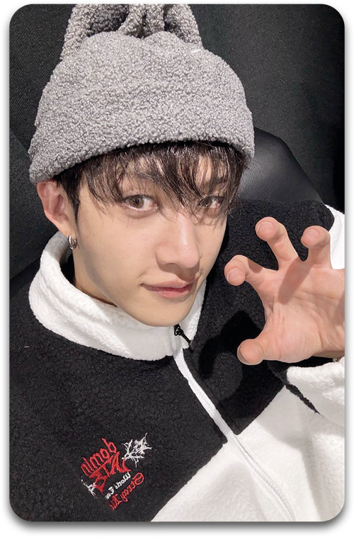 Карта / STRAY KIDS #2020