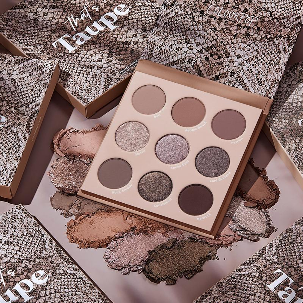 ColourPop That's Taupe palette