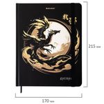 Дневник 1-11 класс 48 л., твердый, BRAUBERG, матовая ламинация, резинка, закладка-ляссе, с подсказом, "Дракон", 107240