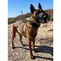 Тактический ошейник с ручкой K9 INDUSTRIES
