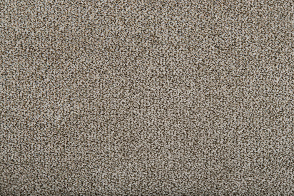 Микровелюр Sharli cocoa (Шарли какао) 04