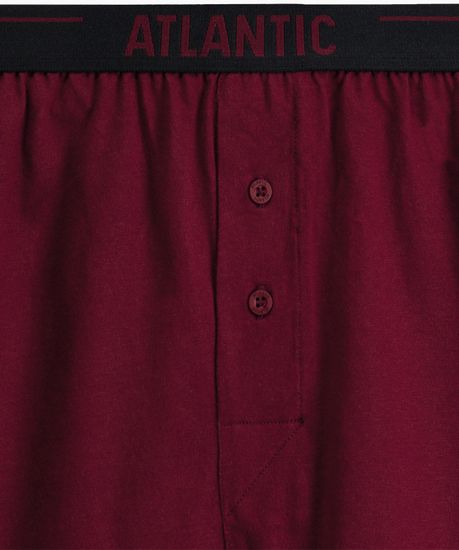 Трусы (2 шт) мужские семейные Atlantic 2MBX-025, хлопок, графитовый + каберне