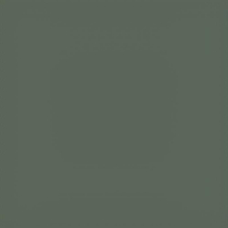 Прогулочная коляска Carrello Bravo Carbon CRL-5530 Tropic Green