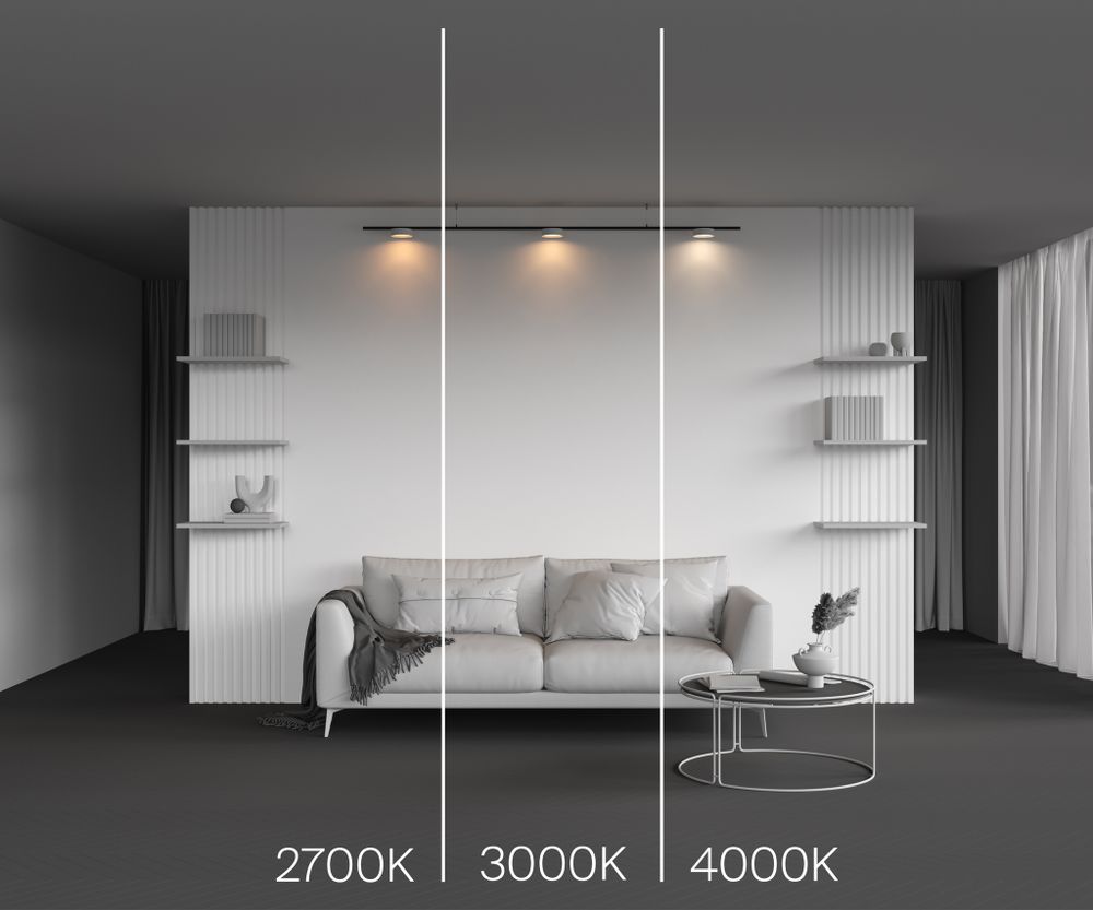 Трековый магнитный светодиодный светильник Maytoni Levity Zon TR189-1-12W2.7K-BW