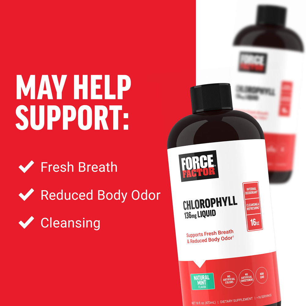 Force Factor, жидкий хлорофилл, натуральная мята, 473 мл (16 жидк. унций) (136 мг в 2 ст. л.)