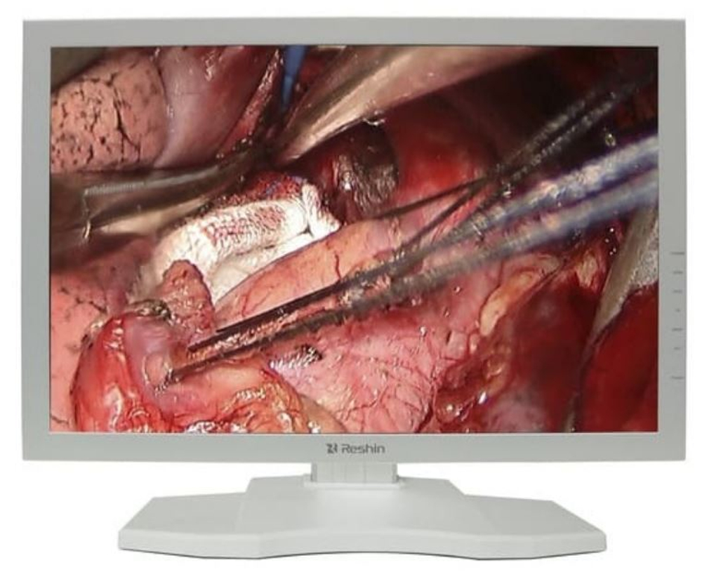 Монитор 24"  MS247SA