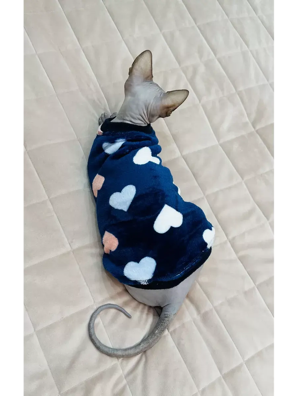 Одежда свитер для сфинксов кошек