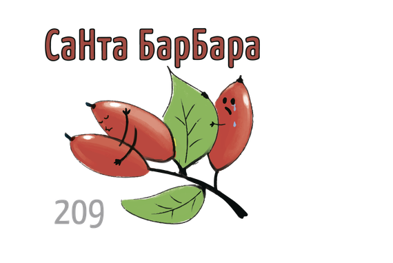 X - Санта Барбара (50г)