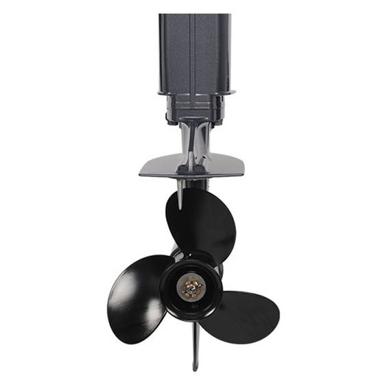 Лодочный мотор ALLFA CG T9.9 MAX (326 см2) 9.9 л.с. двухтактный (синий, зеленый, красный)