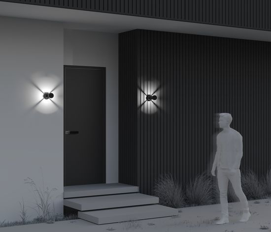 Настенный светильник (бра) Outdoor O458WL-L9GF3K