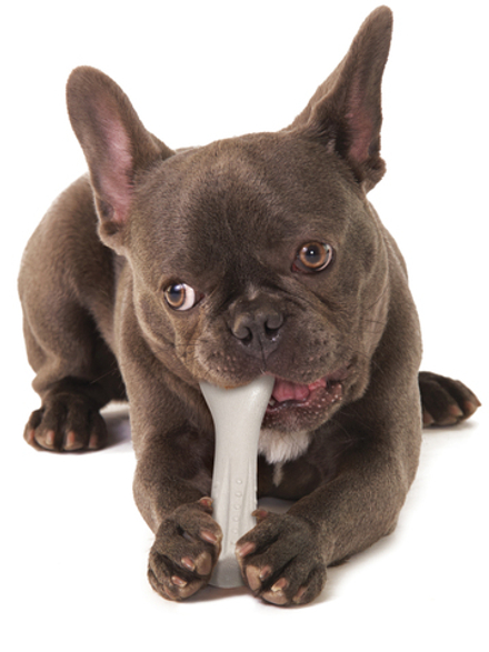 Petstages игрушка для собак Deerhorn, с оленьими рогами 12 см маленькая