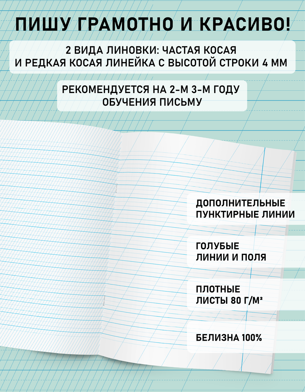Набор тетрадей "Пишу грамотно и красиво", 12 л, 10 шт
