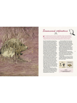 Наши соседи по планете. Рассказы о диких животных