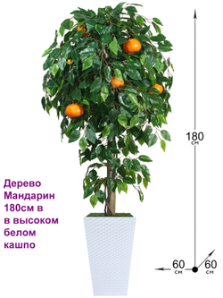 Искусственное дерево Мандарин 180см в высоком белом кашпо ротанг
