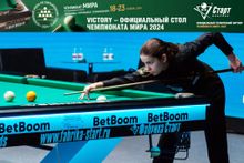 VICTORY СБ 10 мдф (РП, RAL 8014, Слан_25, Манчестер 70 yellow green, Кожаная сетка, Накл. эл-в стальное)