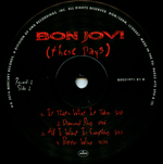Bon Jovi / These Days (2LP)