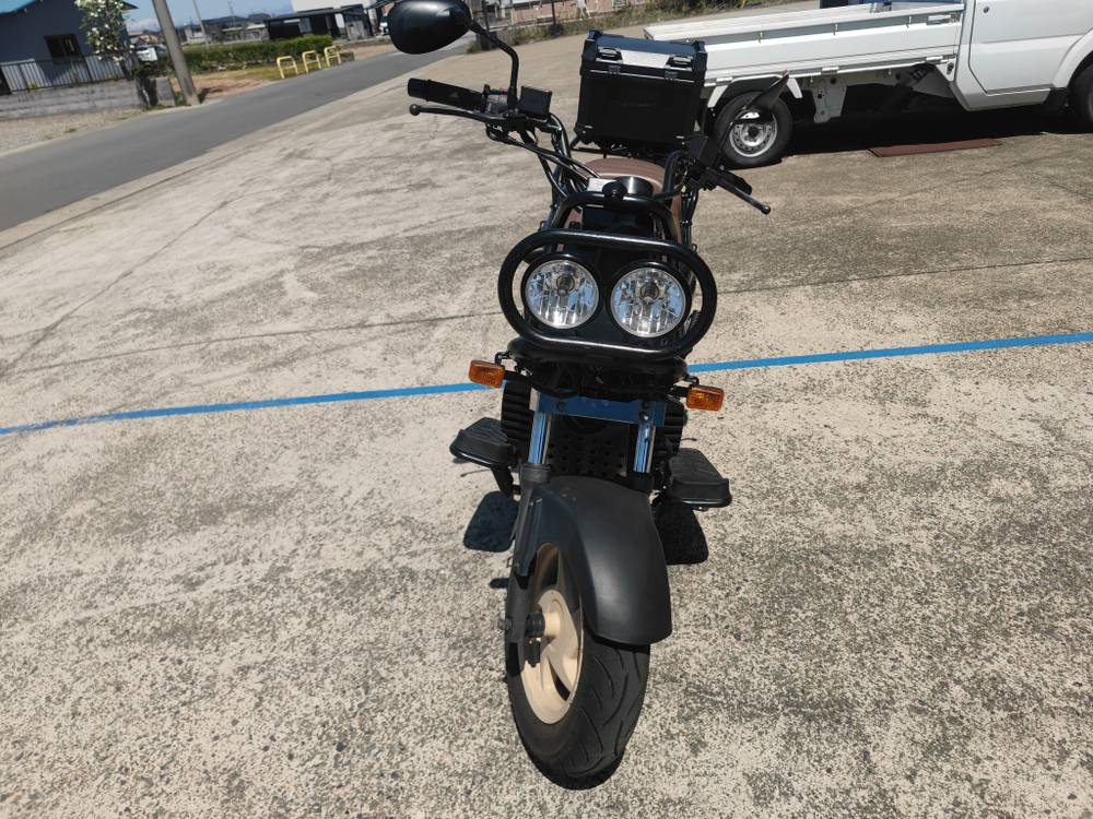 Honda PS250 Big Ruckus , 2004
