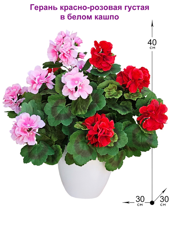 Искусственные цветы Герань красно-розовая густая 40см в белом кашпо