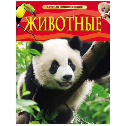 Книга Энциклопедия Животные