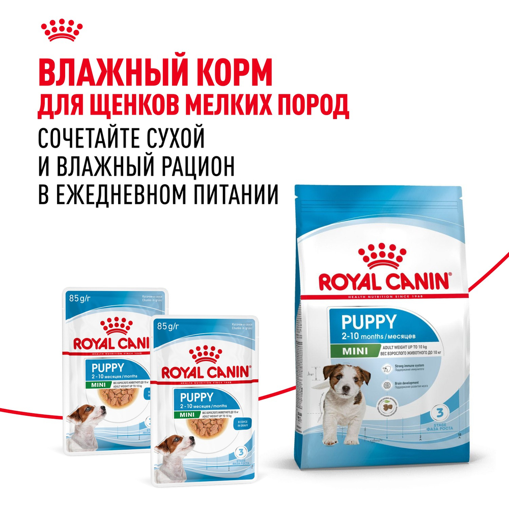 Royal Canin Mini Puppy Мини Паппи Корм сухой для щенков мелких пород в возрасте до 10 месяцев 4кг